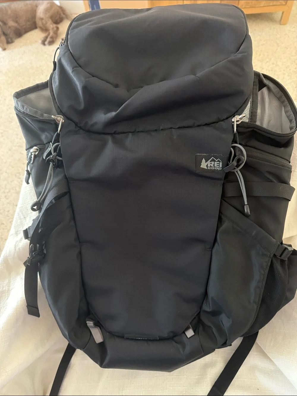 REI Black Men's Hiking Backpack with Organized Pockets